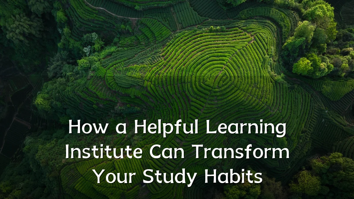 How a Helpful Learning Institute Can Transform Your Study Habits