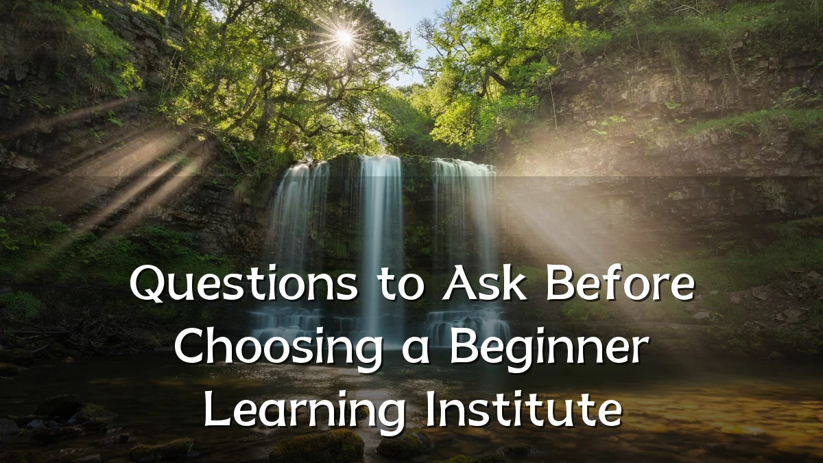 Questions to Ask Before Choosing a Beginner Learning Institute