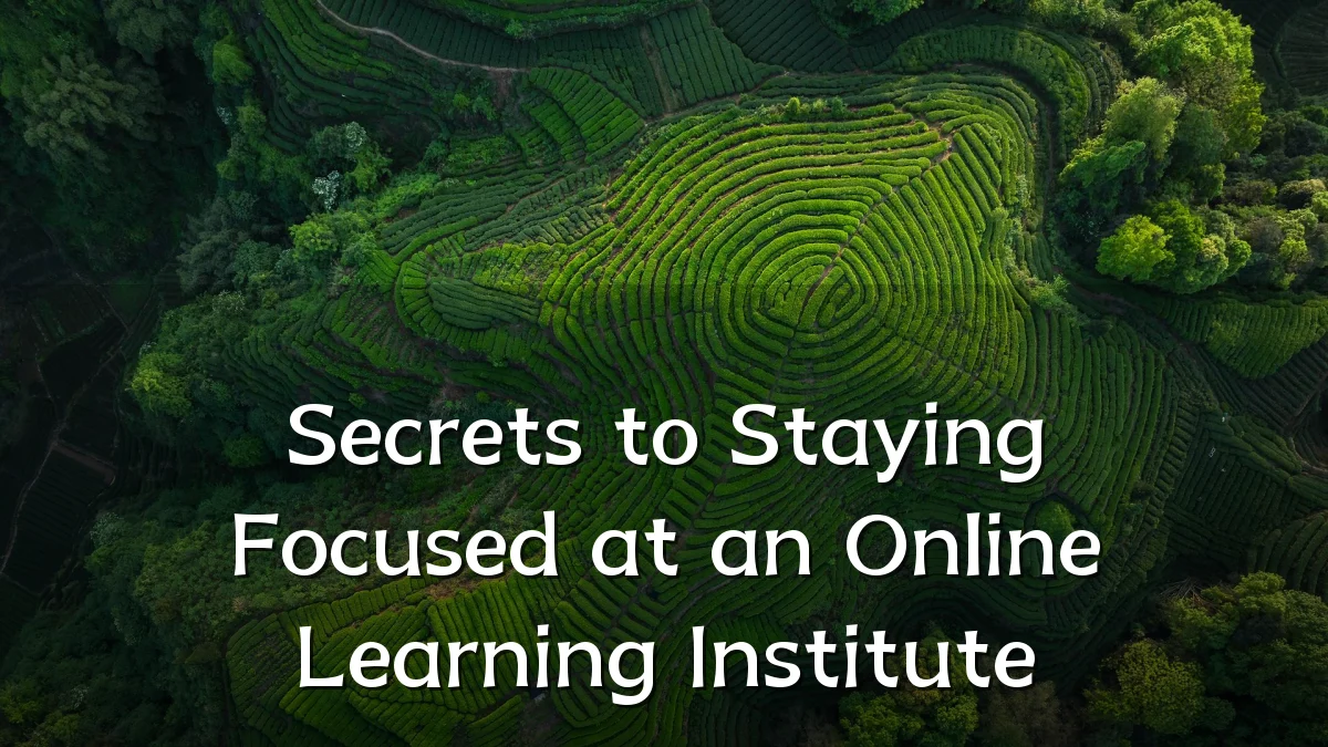 Secrets to Staying Focused at an Online Learning Institute