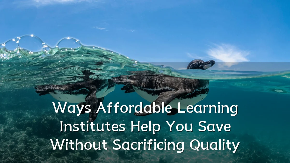 Ways Affordable Learning Institutes Help You Save Without Sacrificing Quality